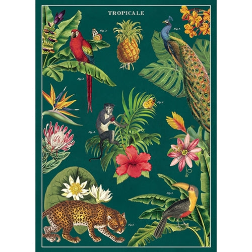 Cavallini Decorative Paper - Tropicale 20"x28" Sheet  Cavallini Decorative Paper - Tropicale 20"x28" Sheet