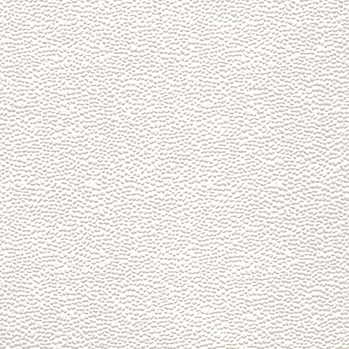 Embossed Glossed Pebbled - White 22x28" Sheet *NEW!* Embossed Glossed Pebbled - White 22x28" Sheet