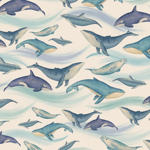 Tassotti Paper - Marine Mammals 19.5"x27.5" Sheet Tassotti Paper - Marine Mammals 19.5"x27.5" Sheet