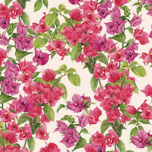 Tassotti Paper - Bougainvillea 19.5"x27.5" Sheet Tassotti Paper - Bougainvillea 19.5"x27.5" Sheet