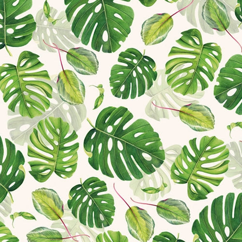 Tassotti Paper - Tropical Foliage 19.5"x27.5" Sheet Tassotti Paper - Tropical Foliage 19.5"x27.5" Sheet