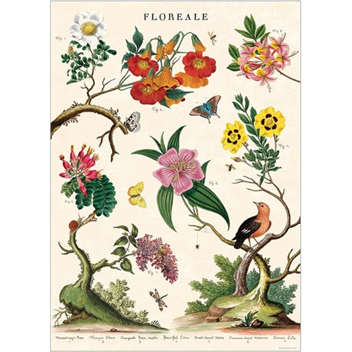 Cavallini Decorative Paper Sheet - Floreale Cavallini Decorative Paper - Floreale 20"x28" Sheet 