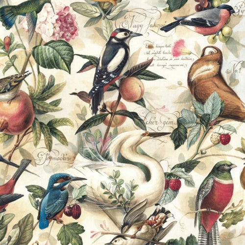 Bomo Art Budapest Papers- Birds and Fruit 27.5 x 39 inch Sheet Bomo Art Budapest Papers- Birds and Fruit 27.5 x 39 inch Sheet