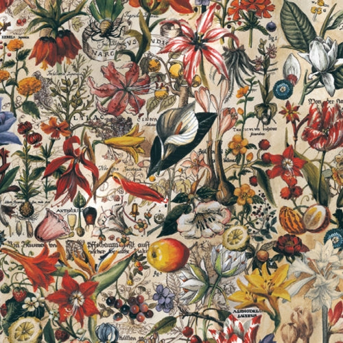 Bomo Art Budapest Papers- Botanic 27.5 x 39 inch Sheet Bomo Art Budapest Papers- Botanic 27.5 x 39 inch Sheet