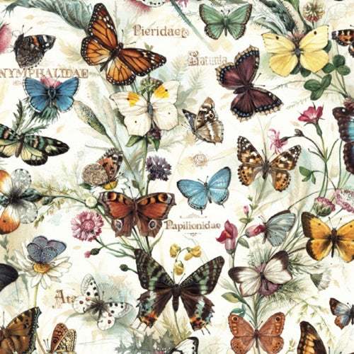Bomo Art Budapest Papers- Butterfies 27.5 x 39 inch Sheet Bomo Art Budapest Papers- Butterfies 27.5 x 39 inch Sheet