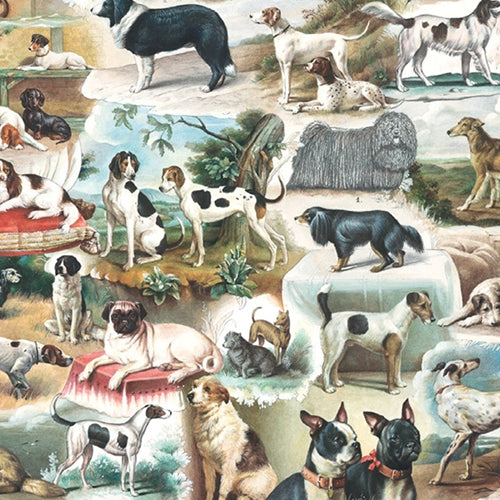 Bomo Art Budapest Papers- Darling the Dogs Are Alright 27.5 x 39 inch Sheet Bomo Art Budapest Papers- Darling the Dogs Are Alright 27.5 x 39 inch Sheet