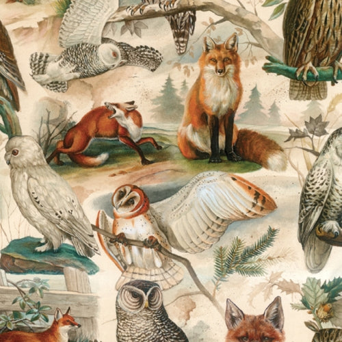 Bomo Art Budapest Papers- Fox and Owl 27.5 x 39 inch Sheet Bomo Art Budapest Papers- Fox and Owl 27.5 x 39 inch Sheet