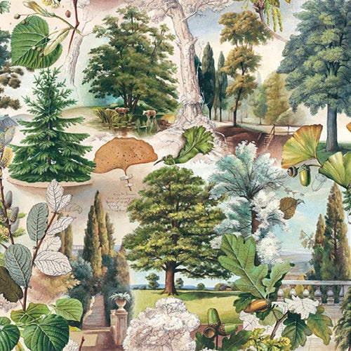Bomo Art Budapest Papers- The Mysterious Life of Trees 27.5 x 39 inch Sheet Bomo Art Budapest Papers- The Mysterious Life of Trees 27.5 x 39 inch Sheet 
