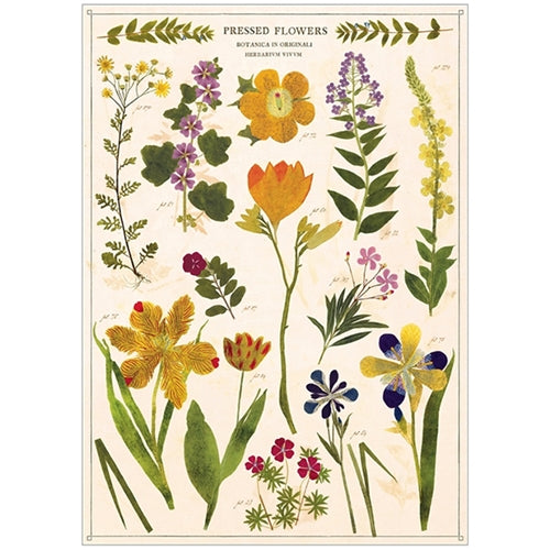 Cavallini Decorative Paper Sheets - Pressed Flowers Cavallini Decorative Paper - Pressed Flowers 20"x28" Sheet