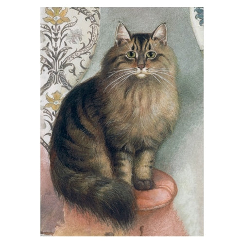Bomo Art Budapest Blank Greeting Card, 5"x7", Maine Coone Cat Bomo Art Budapest Blank Greeting Card, 5"x7", Maine Coone Cat