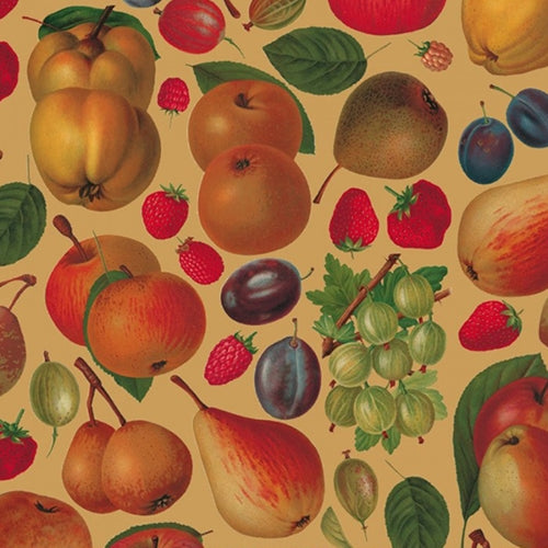 Rossi 1/2 Sheet Decorated Papers from Italy - Assorted Fruit on Metallic Gold 20"x28" Sheet Rossi 1/2 Sheet Decorated Papers from Italy - Assorted Fruit on Metallic Gold 20"x28" Sheet