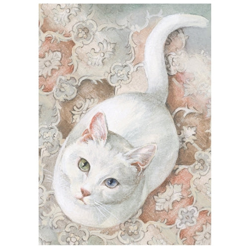 Bomo Art Budapest Blank Greeting Card, 5"x7", White Cat Bomo Art Budapest Blank Greeting Card, 5"x7", White Cat