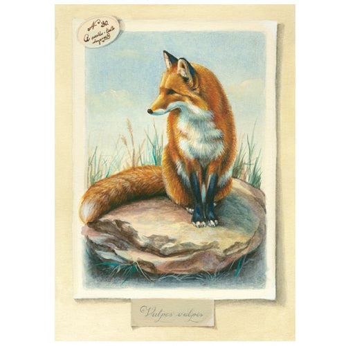 Bomo Art Budapest Blank Greeting Card, 5"x7", Fox on a Stone Bomo Art Budapest Blank Greeting Card, 5"x7", Fox on a Stone