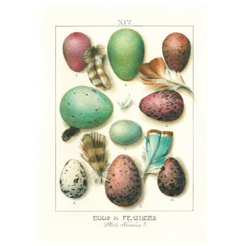 Bomo Art Budapest Blank Greeting Card, 5"x7", Egg Hunt Bomo Art Budapest Blank Greeting Card, 5"x7", Egg Hunt