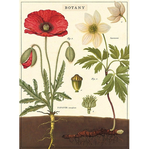 **LIMITED STOCK** Cavallini Decorative Paper Sheet - Botany **LIMITED STOCK** Cavallini Decorative Paper Sheet - Botany