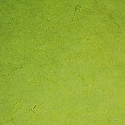 Nepalese Lokta Paper- Green Olive 20"x28" sheet Nepalese Lokta Paper- Green Olive 20"x28" sheet