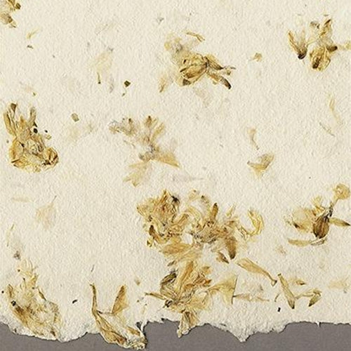 Langdell Paper Yellow Calendula - 19x25 Inch Sheet