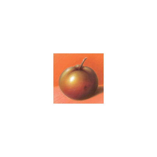 Hahnemuhle Pastel Velour Paper - 19 x 27 inch Green