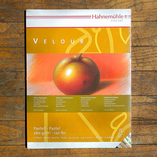 Hahnemuhle Pastel Velour Paper Pad - 10 Sheets 11.8 x 15.7" Contains 10 assorted colors