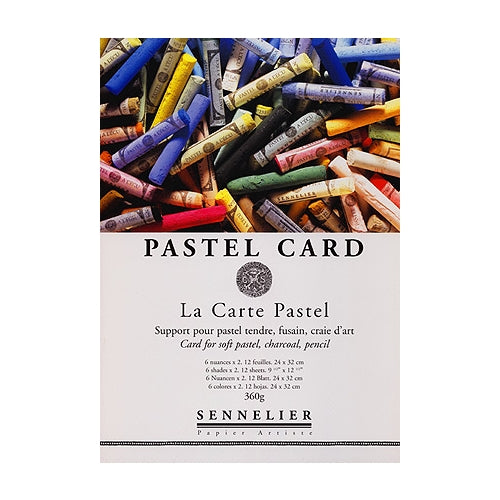 La Carte Pastel Pad 12"x15.75" - Twelve Sheets