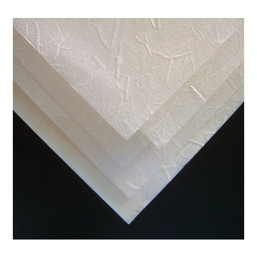 Kinwashi White Printmaking Paper - 24x36 Inch Single Sheet