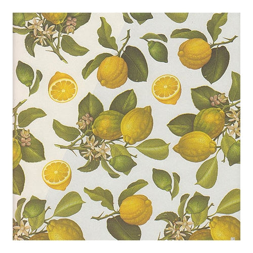 Rossi Decorative Paper- Lemons 28x40 Inch Sheet Rossi Decorative Paper- Lemons 28x40 Inch Sheet