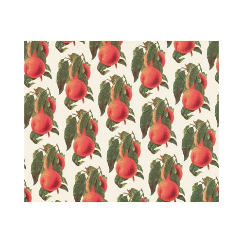 Rossi Decorative Paper from Italy- Peaches 28x40 Inch Sheet Rossi Decorative Paper from Italy- Peaches 28x40 Inch Sheet
