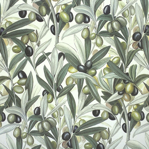 Rossi Decorative Paper from Italy- Olives 28x40 Inch Sheet Rossi Decorative Paper from Italy- Olives 28x40 Inch Sheet
