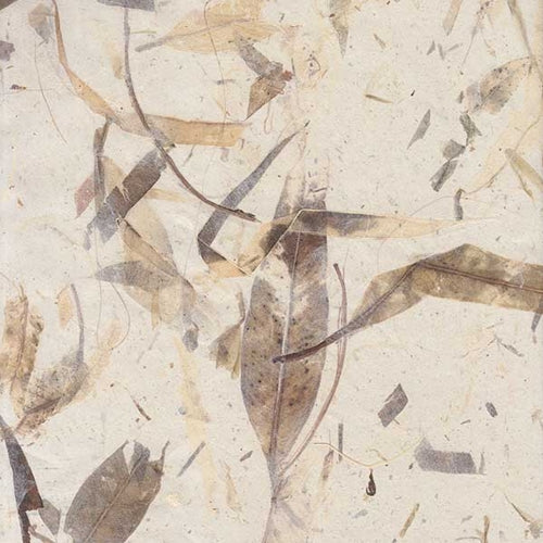 Thai Eucalyptus Leaf Paper- 25x37 Inch Sheet Thai Eucalyptus Leaf Paper- 25x37 Inch Sheet