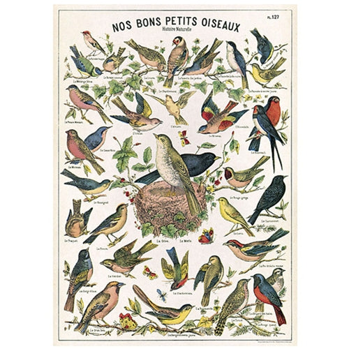 Cavallini Decorative Paper - Nos Bons Petits Oiseaux 20"x28" Sheet Cavallini Decorative Paper - Nos Bons Petits Oiseaux 20"x28" Sheet