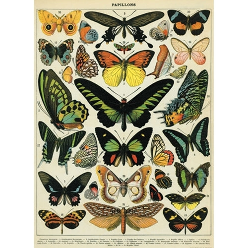 Cavallini Decorative Paper - Papillons 20"x28" Sheet Cavallini Decorative Paper - Papillons 20"x28" Sheet