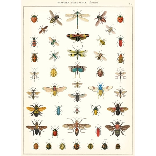 Cavallini Decorative Paper - Natural History Insects 20"x28" Sheet Cavallini Decorative Paper - Natural History Insects 20"x28" Sheet