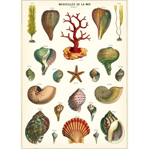 Cavallini Decorative Paper - Marveilles de La Mer 20"x28" Sheet Cavallini Decorative Paper - Marveilles de La Mer 20"x28" Sheet