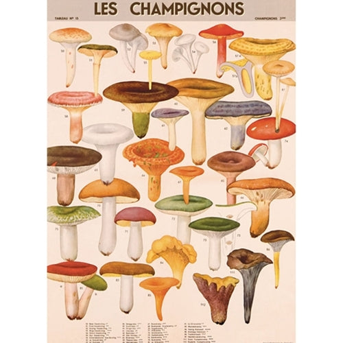 Cavallini Decorative Paper - Mushrooms 20"x28" Sheet Cavallini Decorative Paper - Mushrooms 20"x28" Sheet